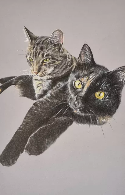 Katzen mit Buntstift