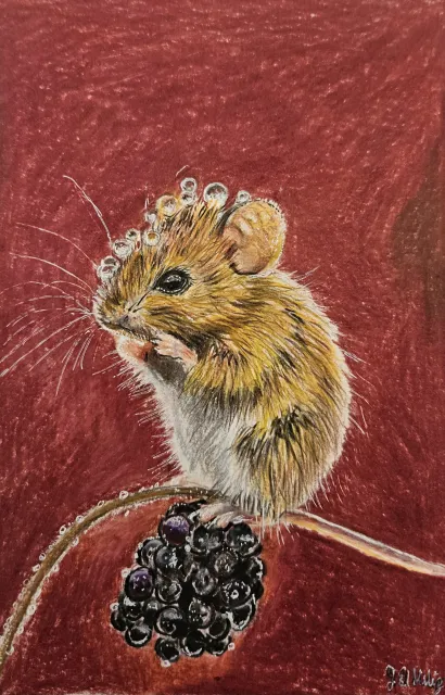 Kleine Maus mit Brombeere 