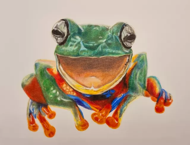 Sonderanfertigung "Frog" Buntstiftzeichnung