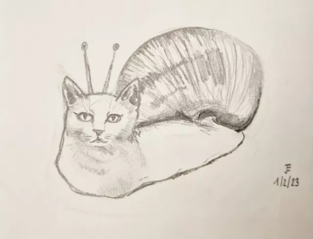 Schneckenkatze