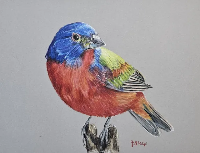 Handgezeichneter Vogel mit Buntstifte