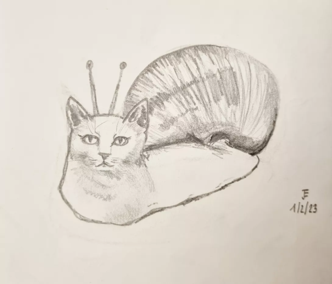 Schneckenkatze Schneckenkatze