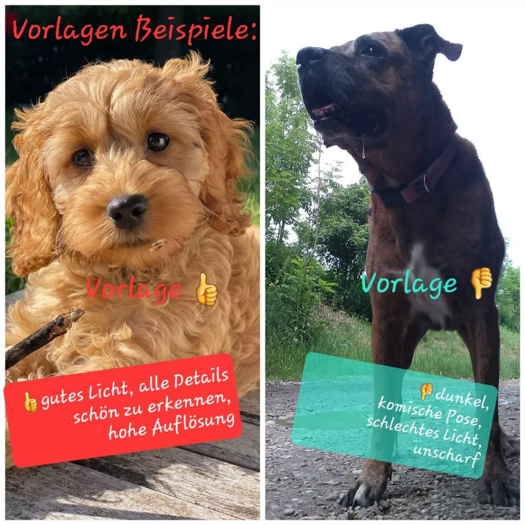 Vorlagenmuster
