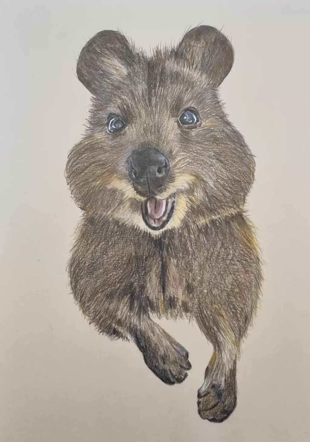 Buntstiftzeichnung "Quokka" Schneller Buntstift