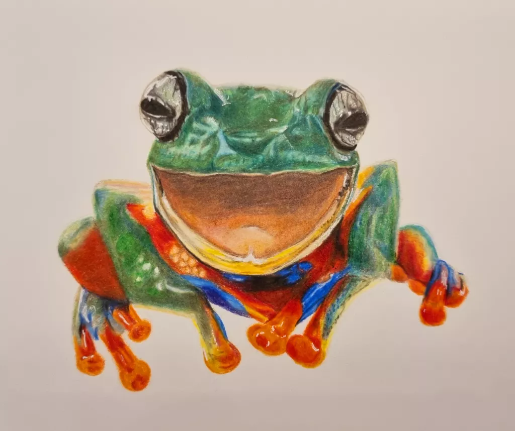 Sonderanfertigung "Frog" Buntstiftzeichnung