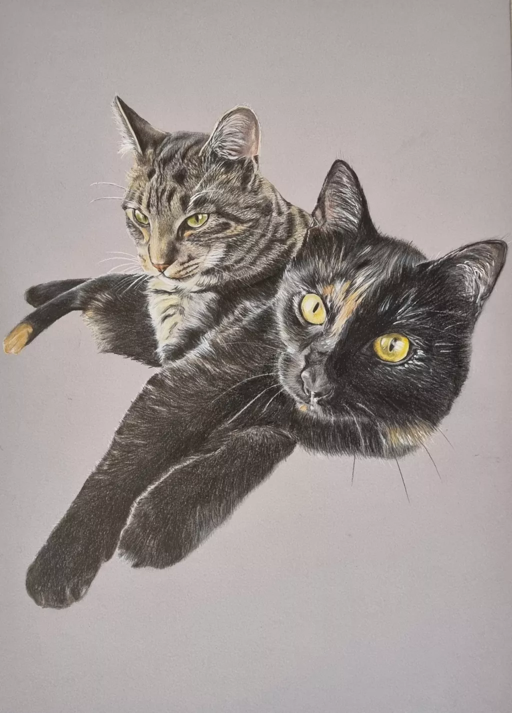 Katzen mit Buntstift