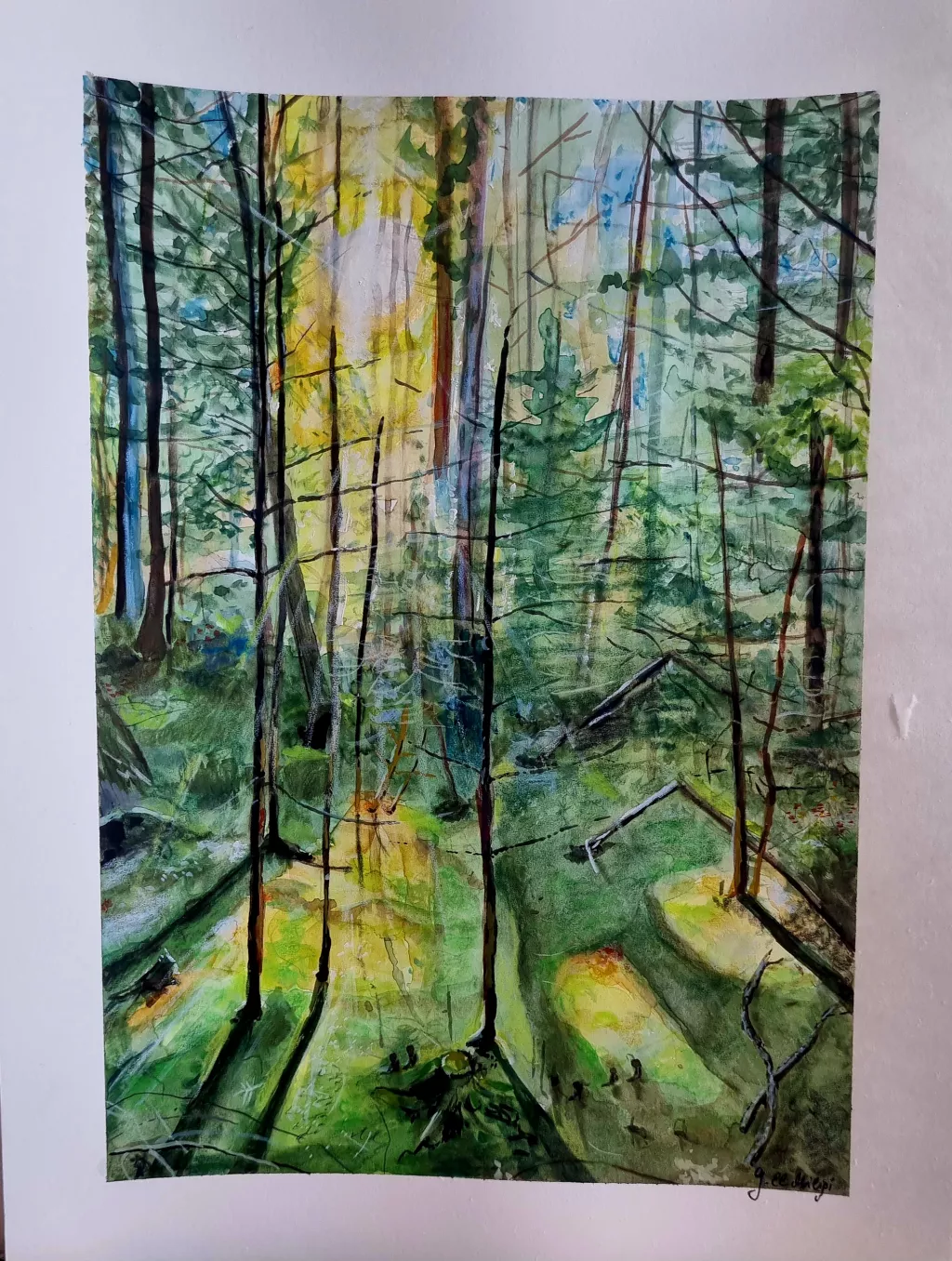 Der Wald