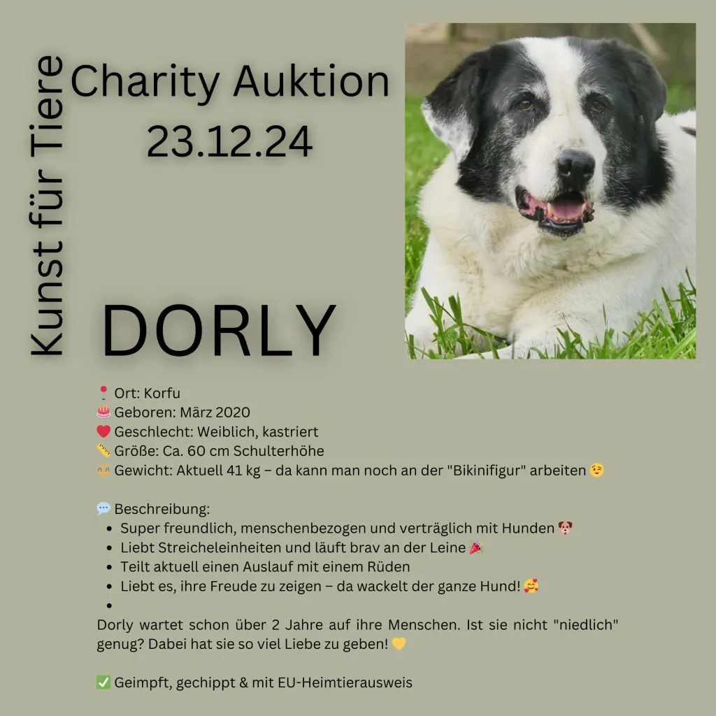 Dorly Hund Tierhilfe Korfu Dorly Hund Tierhilfe Korfu