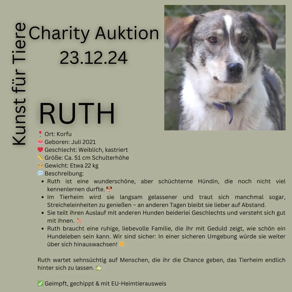 Ruth Hund Tierhilfe Korfu Ruth Hund Tierhilfe Korfu