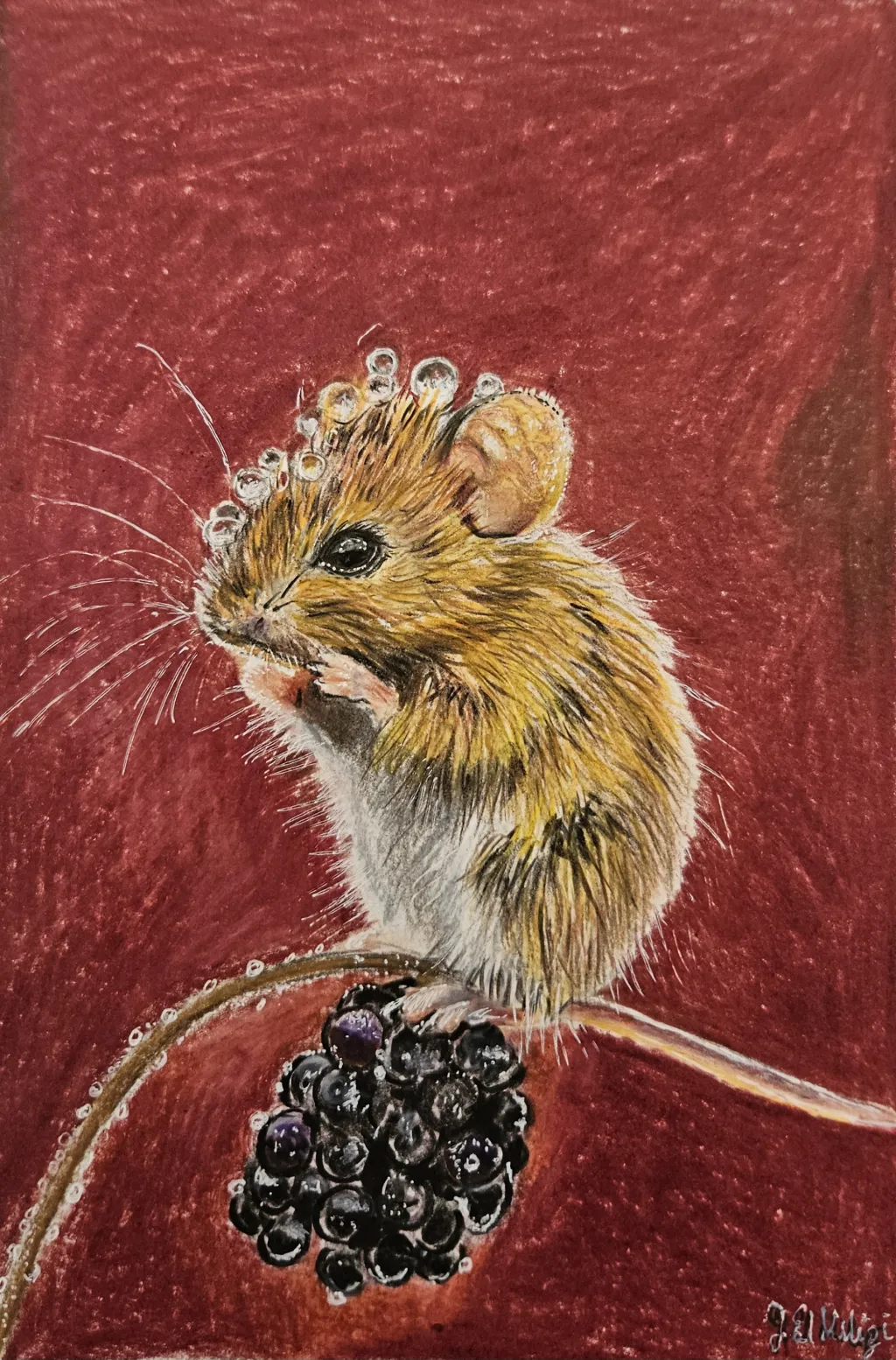 Kleine Maus mit Brombeere“ Buntstiftzeichnung · 2025