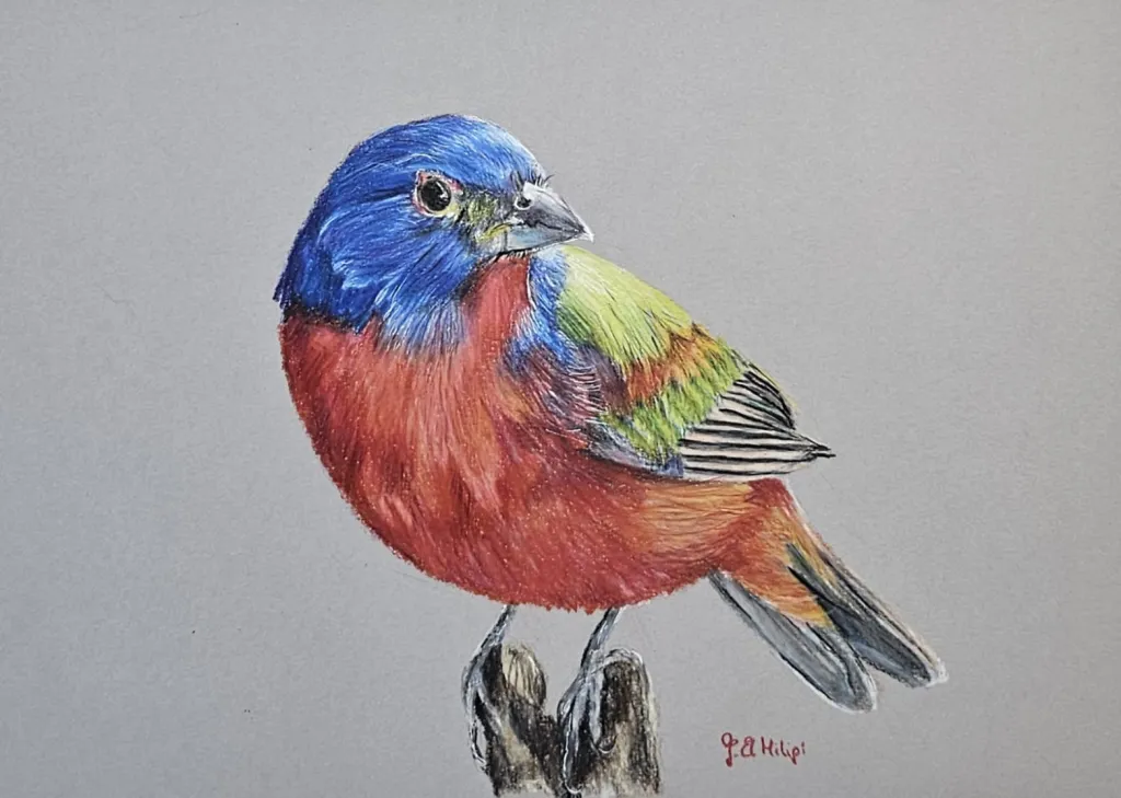 Handgezeichneter Vogel mit Buntstifte